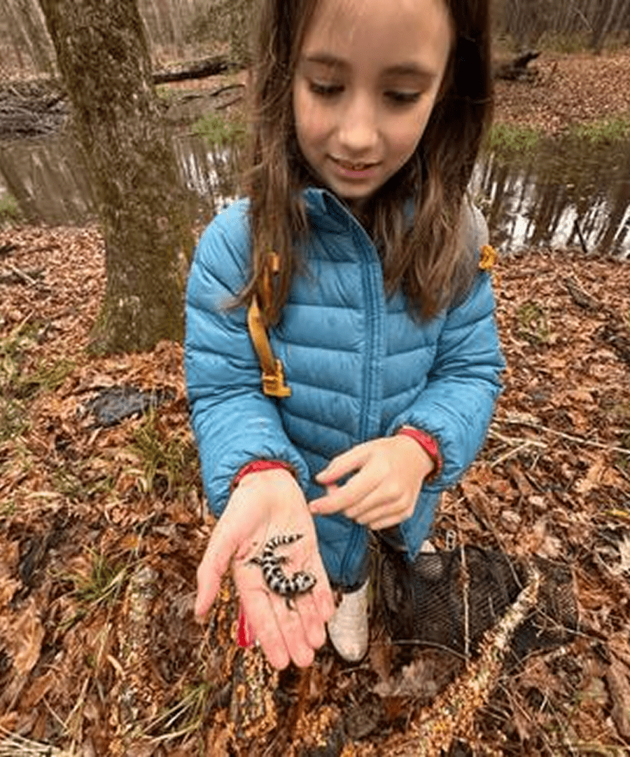 Girl holding a caterpillar outdoors