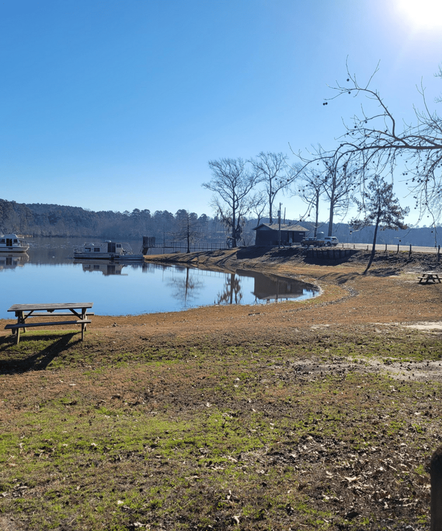 Picnic table by the serene lake