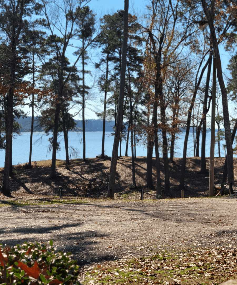 Forest path leading to a serene lake