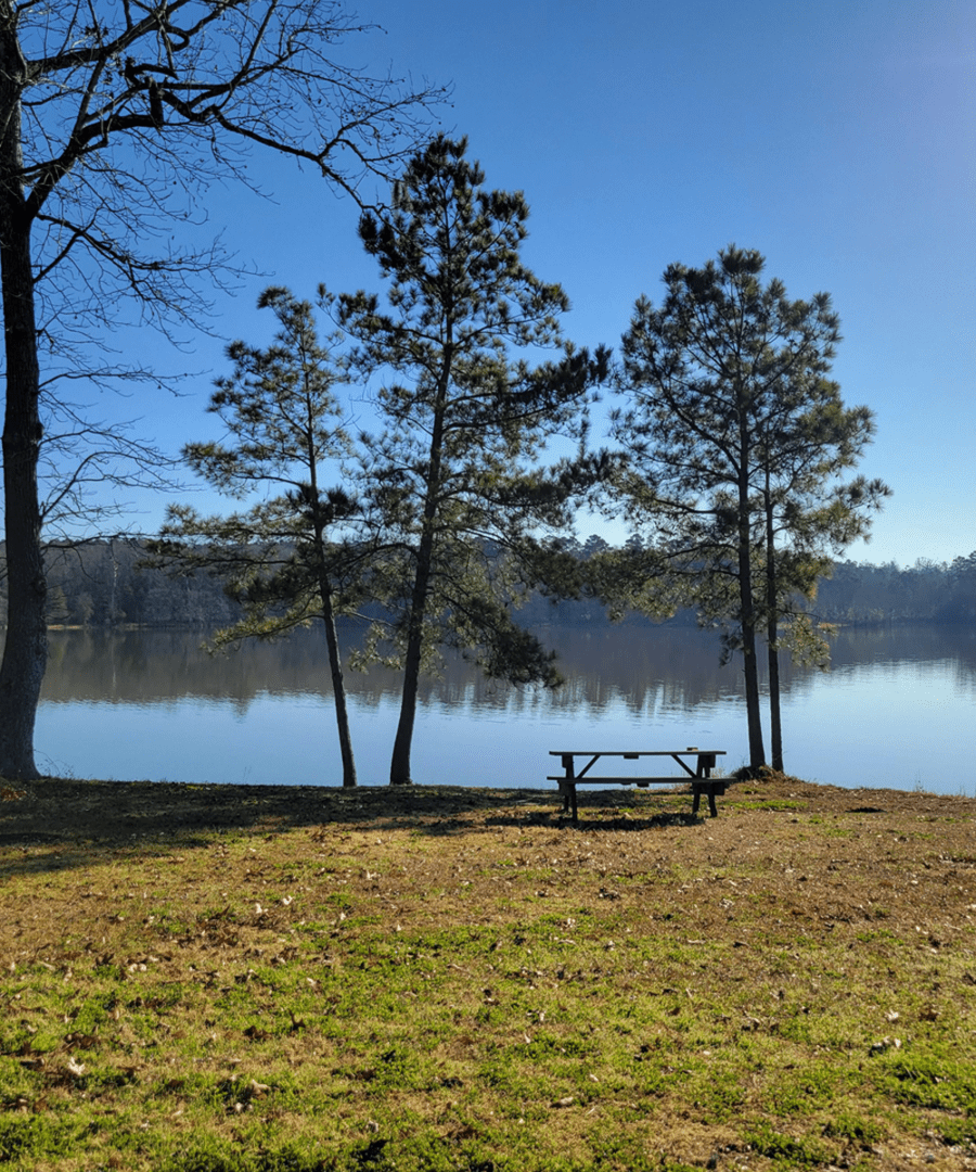 Tranquil lakeside scene with clear sky